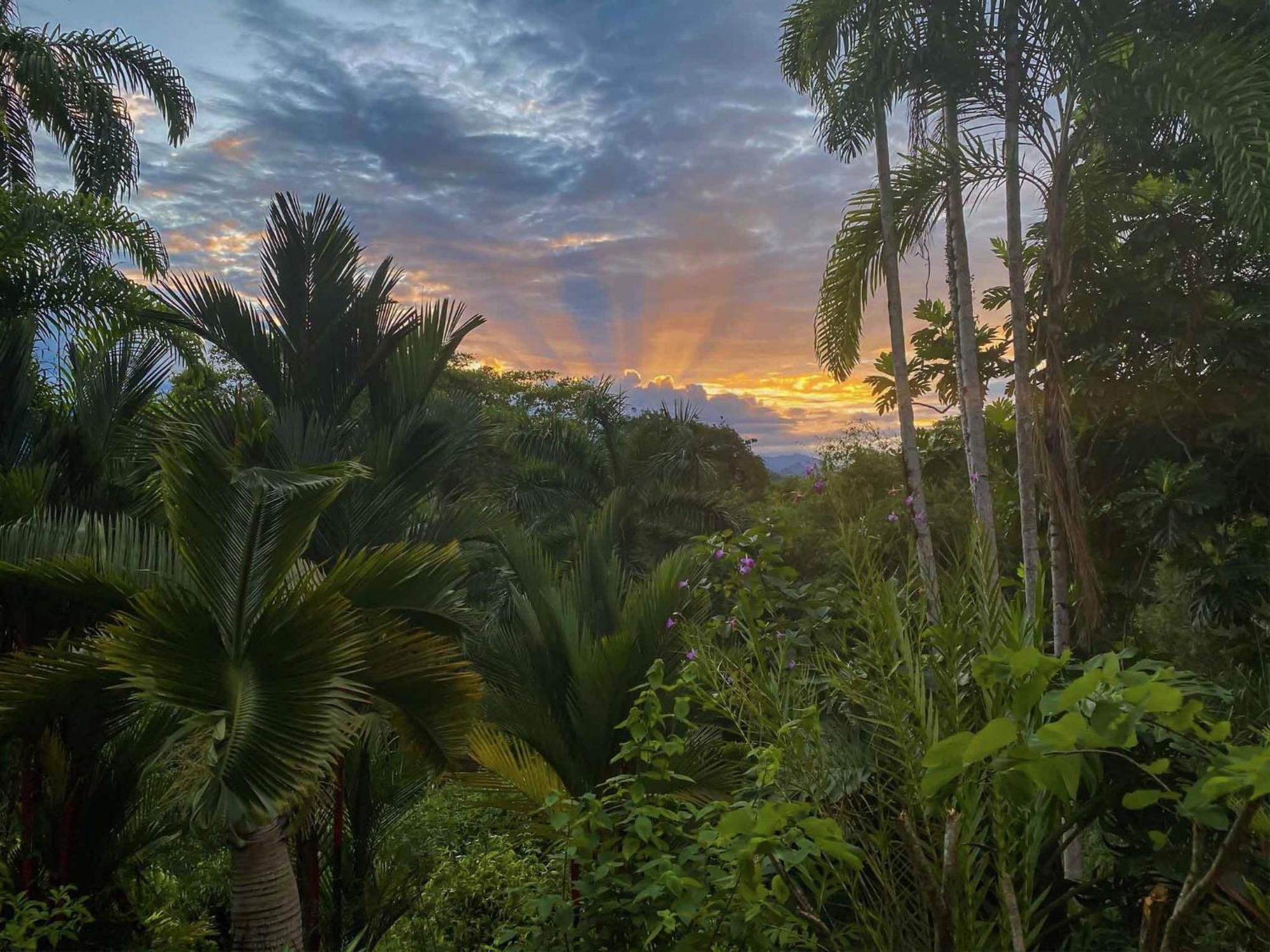 코클레스 Caribbean Retreats 빌라 외부 사진